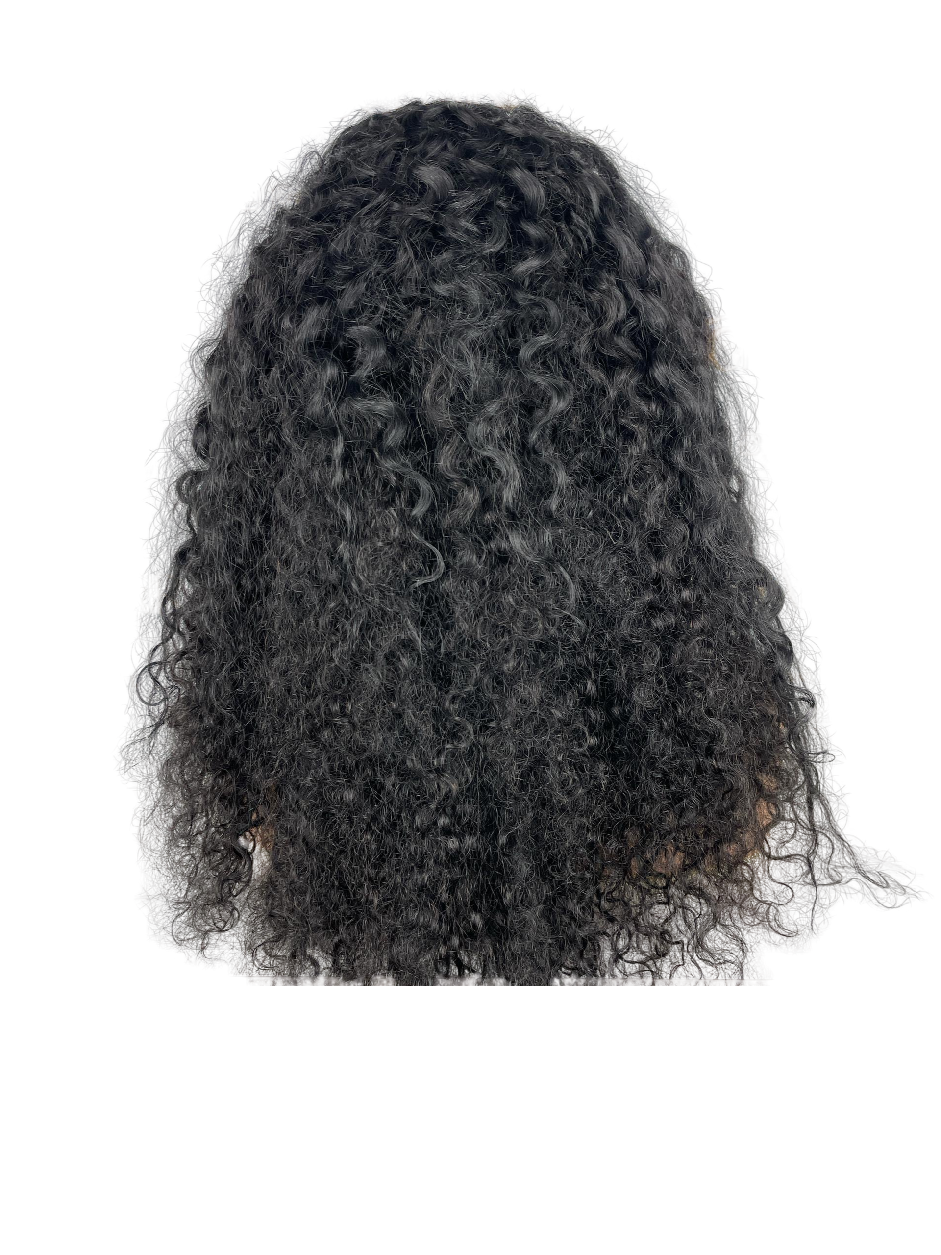 Burmese curly